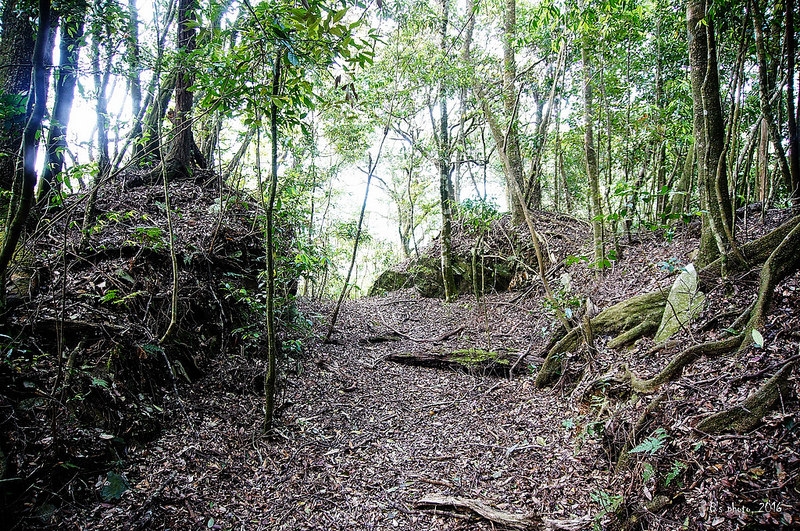 見付山山徑