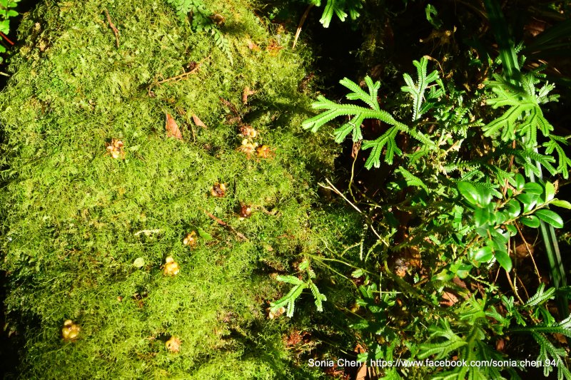 0ce356ecf9351b56435b0f8b25471590.jpg