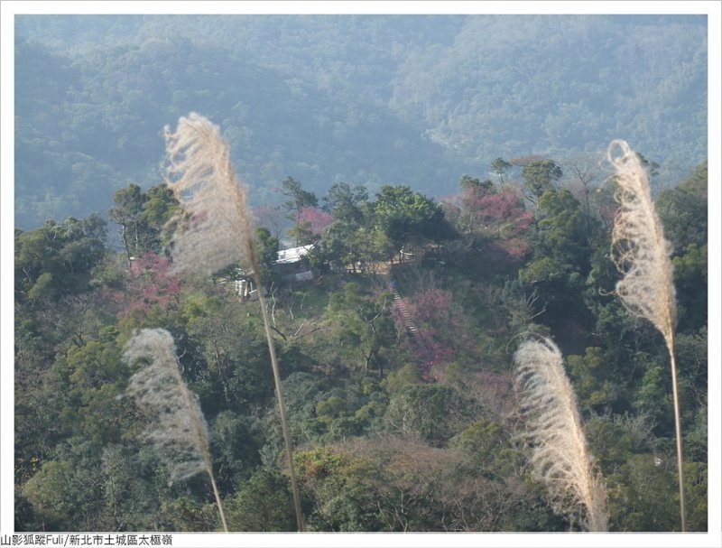 太極嶺 (64).JPG - 太極嶺、五城山