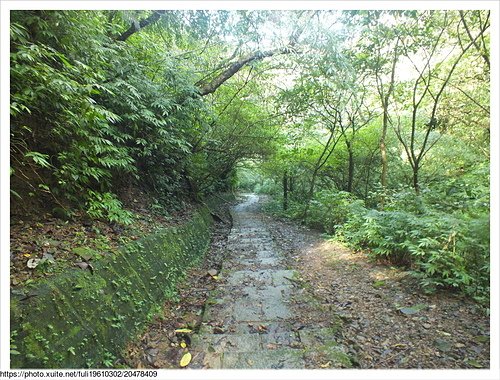 平湖東步道 (11).JPG - 平湖東步道