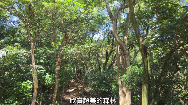 0db9d85887ba4e94dce05d4e4cd9df01.jpg
