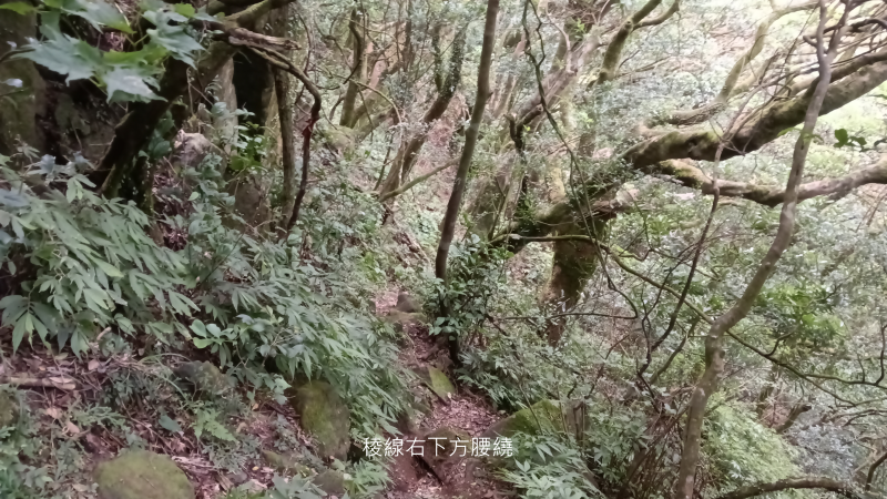 0deaea704dfc8e7138abf05790522b8e.png