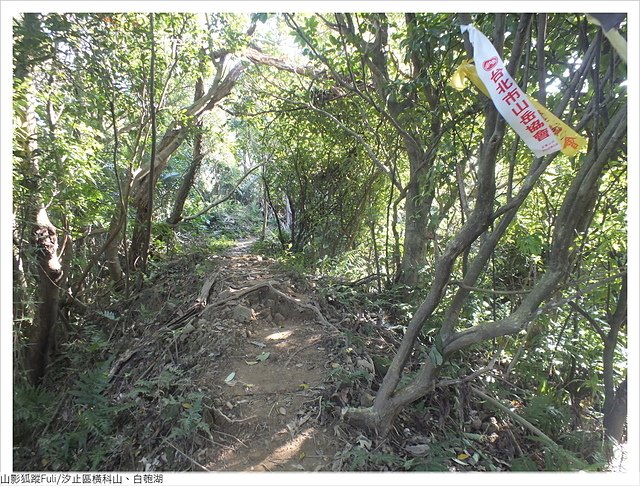 橫科山白匏湖 (143).JPG - 橫科山、白匏湖