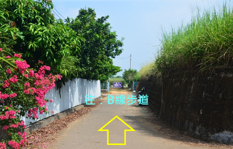 0e6dc44e6d0cb8b31afda02587e04b02.png