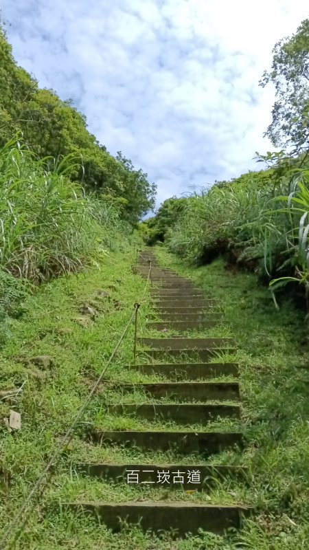 0e7d301a06258787f5243e871a52905a.png