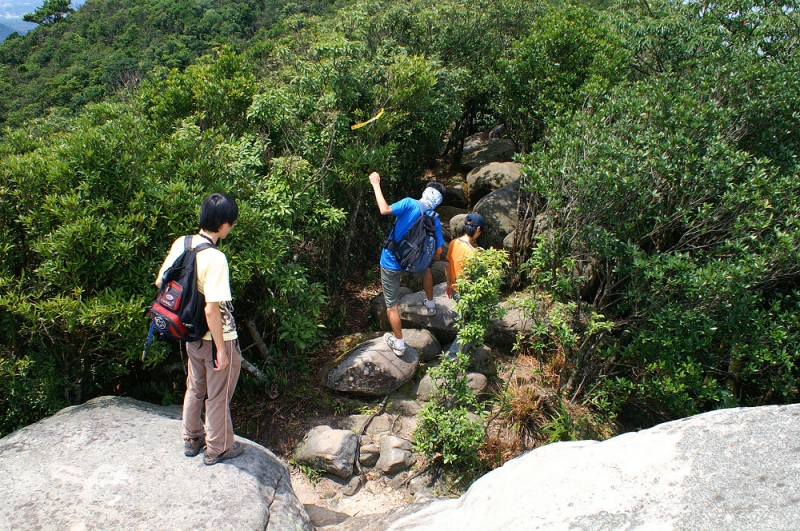 大崙頭尾043 往基點峰