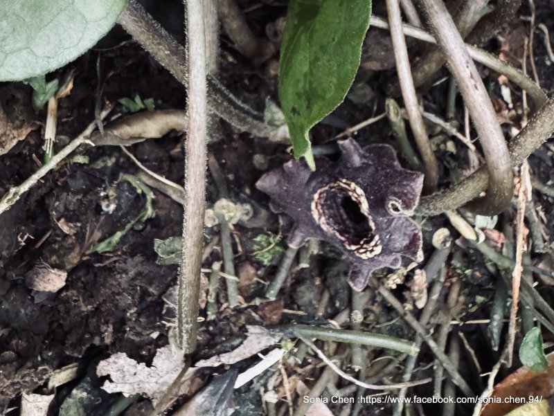 0ef15078a0bf94d704a34c006781e1df.jpg