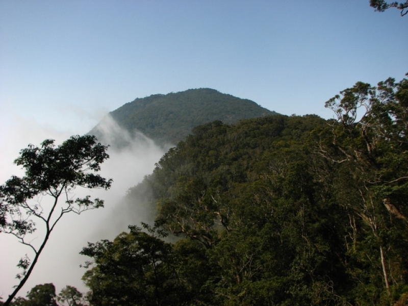 大母母山登山步道