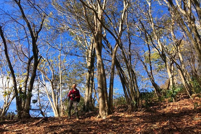 卡社山、拉夫郎山西北峰