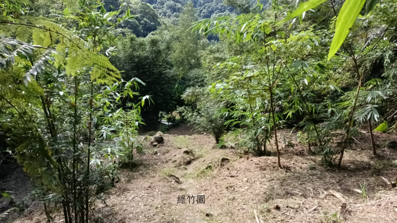 10b255eaa40396c9646d6033c618fc28.png