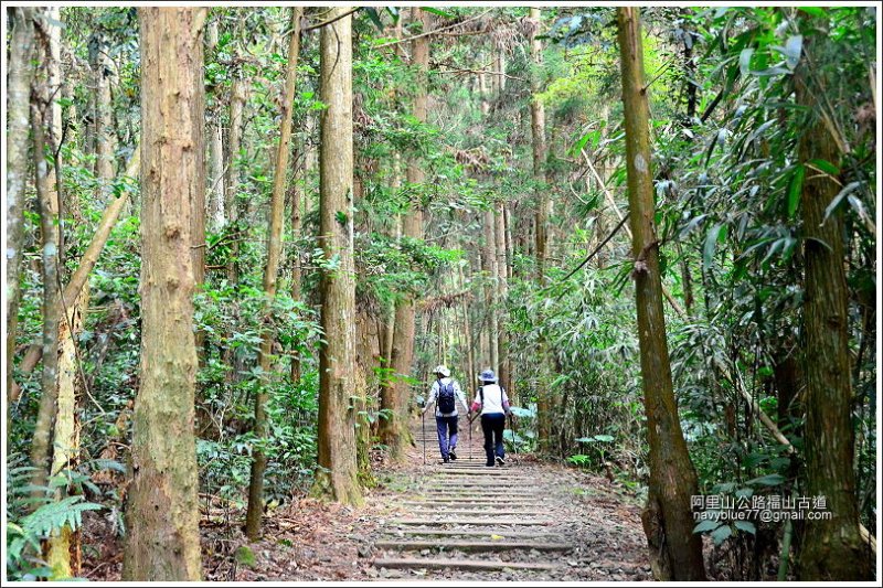 迷糊步道-福山古道