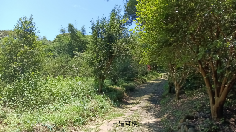 10f75082d419a99a29f00a8f1e17555c.png