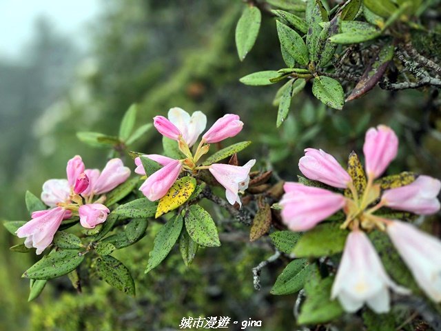 10ff5e8fa19d0e5c56d25e4897b9965b.jpg