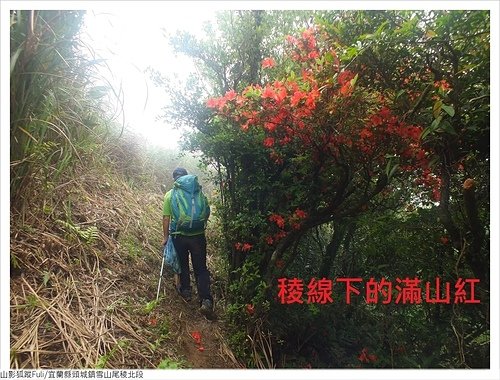 雪山尾稜北段 (33).JPG - 雪山尾稜北段