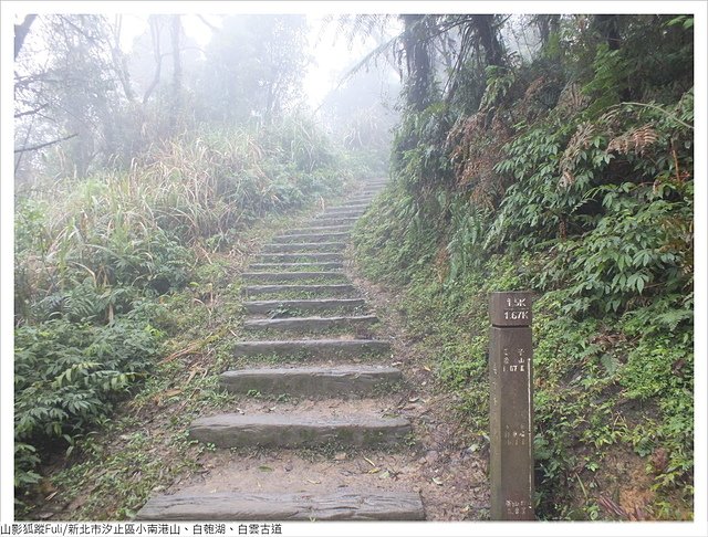 姜子寮山步道 (42).JPG - 姜子寮山步道櫻花