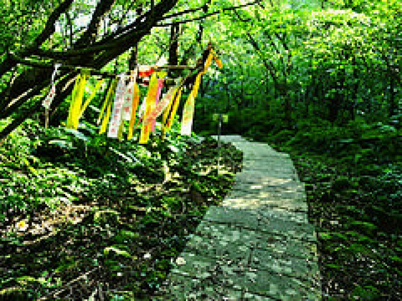 五分山步道海，登山社的布條有如「招魂旗」。圖片來源：台灣千里步道協會