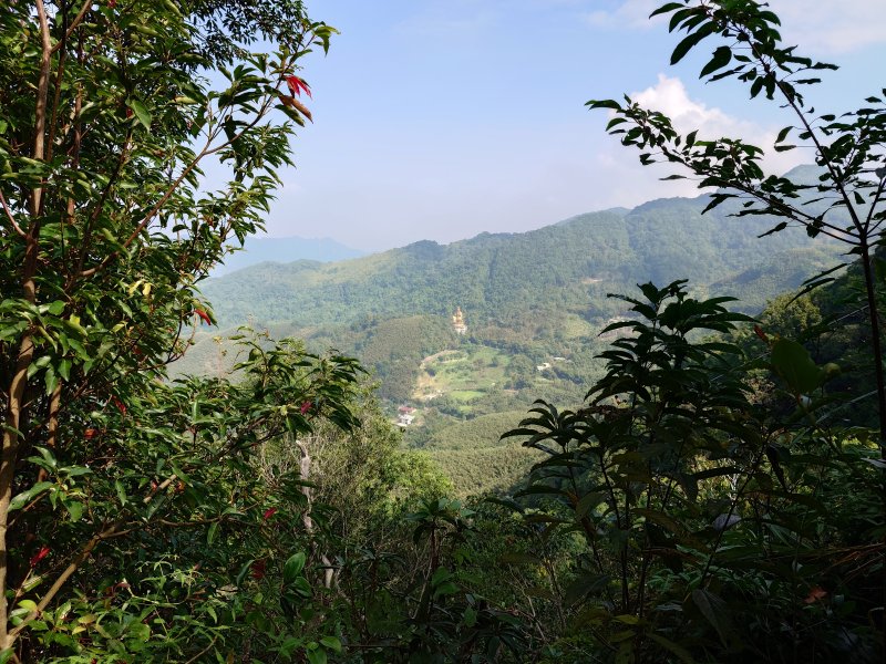 1240ab908dca216cf658f77fb5a0c1ac.jpg