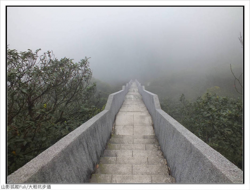 大粗坑步道 (8).jpg - 大粗坑步道