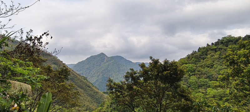 1264f3511a322ee00b16774036f82f9a.jpg