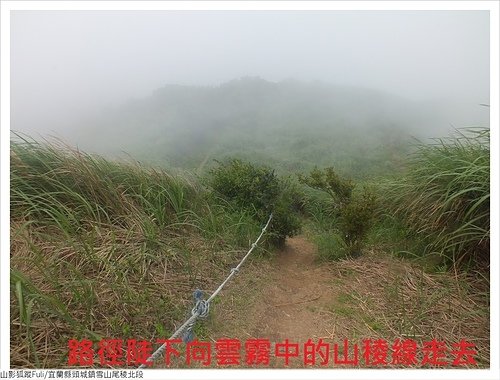 雪山尾稜北段 (99).JPG - 雪山尾稜北段