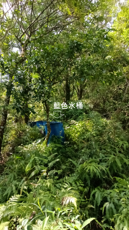 134ccbf09541b70fd1cef1e956bc3947.png