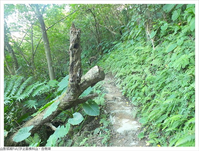 橫科山白匏湖 (148).JPG - 橫科山、白匏湖