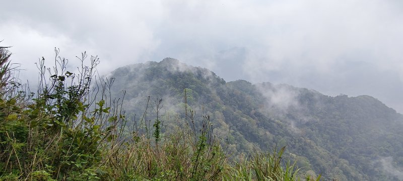 135252fd54a0ed7f667a07e3e291d7d2.jpg