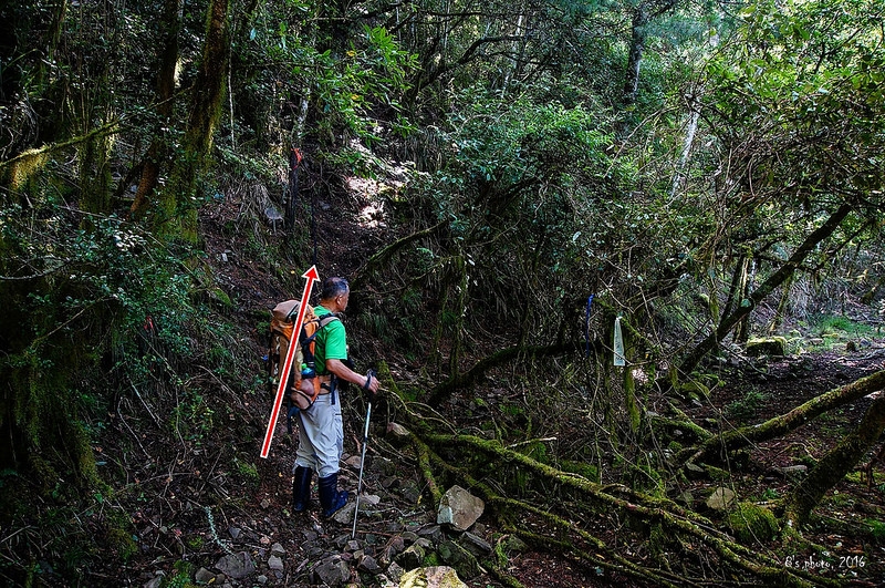 登山口，勿直行