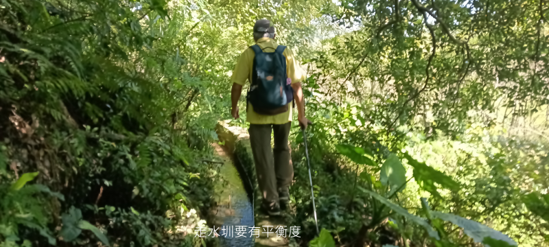 1466182045d7fae7d30e958518ab4c06.png