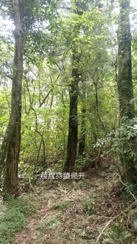 14b890a8b758ca240fedd4045a8e1a63.png