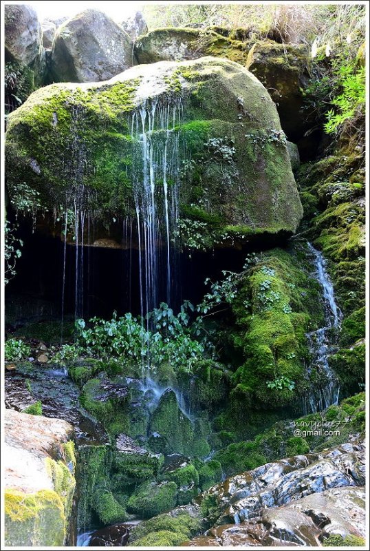 石山引水道 (23).JPG