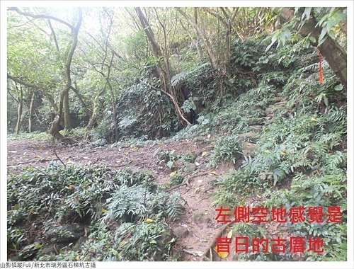 石梯坑古道 (11).JPG - 石梯坑古道