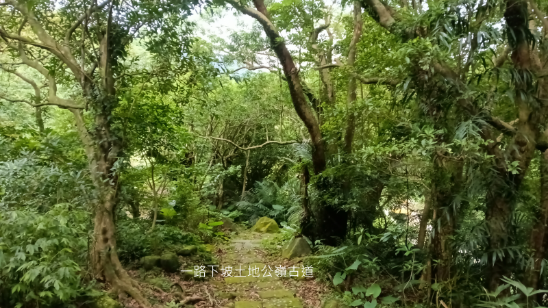 156f2e90bbaa4320de3d6687ff633e4f.png