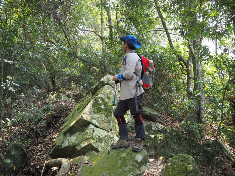 《台中》谷關七雄|白毛山