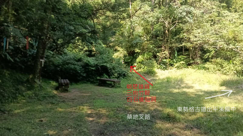 16000ad870cf6455b883564306732677.png