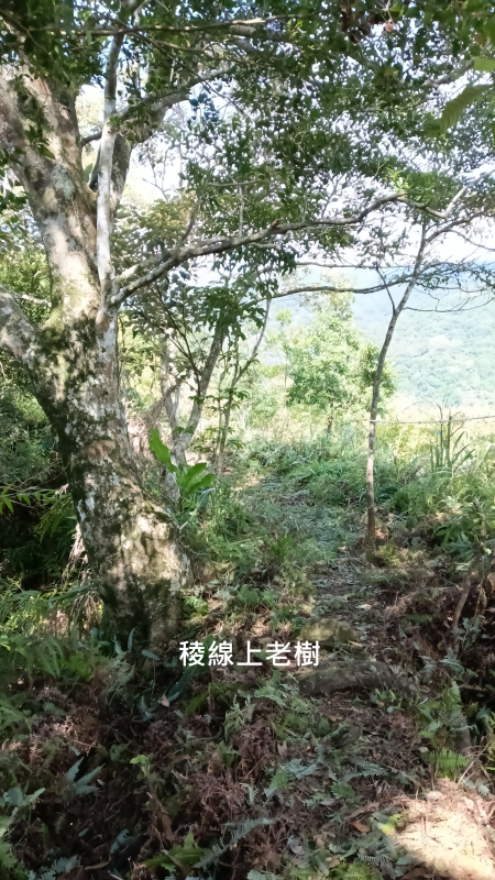 160e749e1094773c9b82286db441ffe8.png