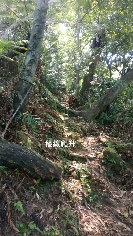 1649a92a9f01332abc1870ed3d1e52f5.png