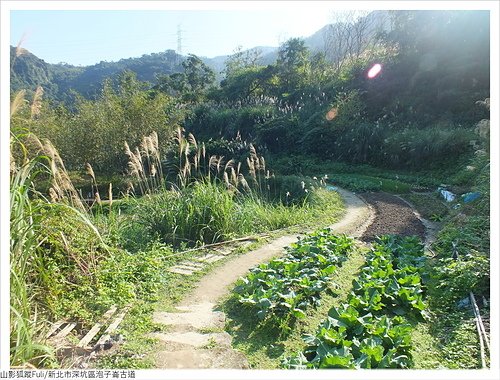 炮子崙古道 (35).JPG - 炮子崙古道