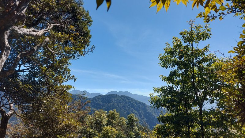 【橫嶺山】大雪山小眠月線，適合親子接近大自然，雲霧瀰漫的季節穿梭林間仙氣盎然，想登頂挑戰滿滿成就，攻頂前0.6K也能練練腿力，不讓人失望~橫嶺山步道。