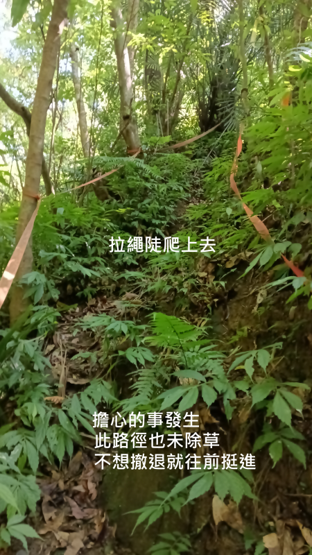 16c62aef1242a0867b06b34321f7a054.png