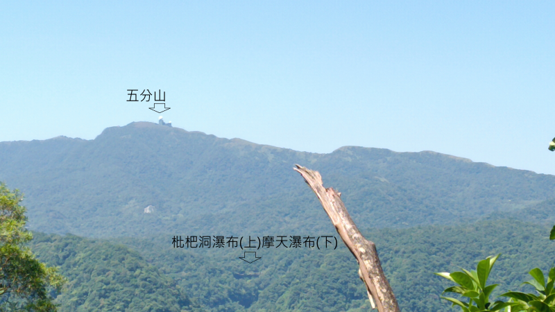 1775b17c03d43899b48a8d0e4198e485.png