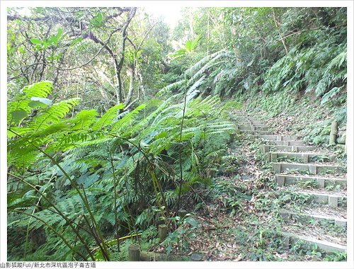 炮子崙古道 (19).JPG - 炮子崙古道