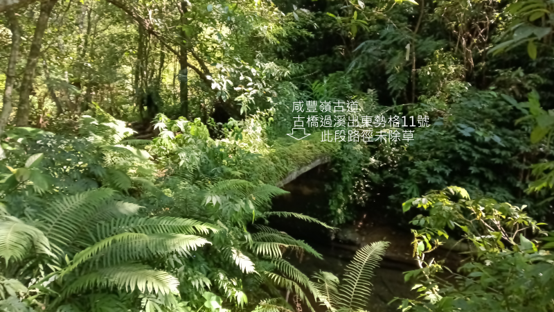 1793763ffb6b8ad3eccb758db89c747d.png