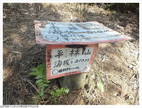 平林山 (60).JPG - 平林山步道