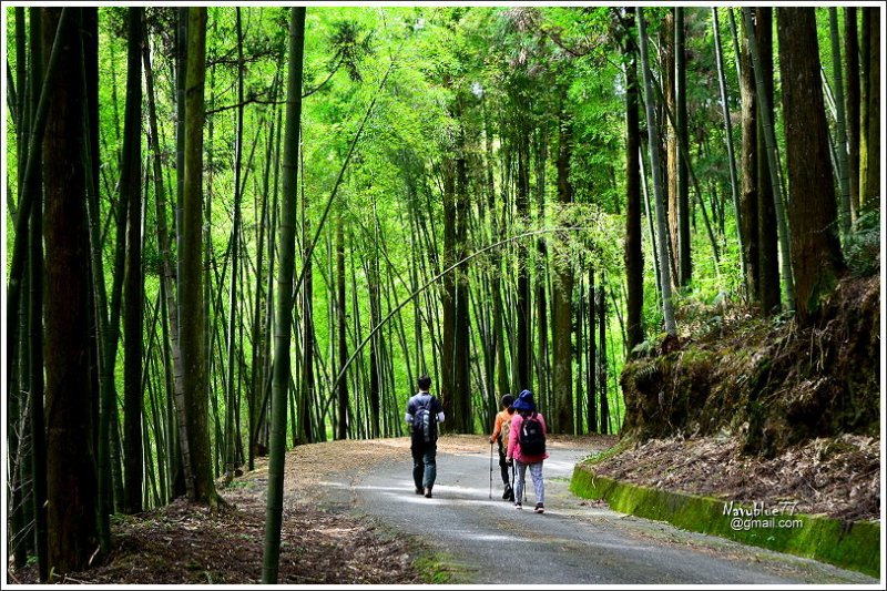 石壁木馬古道-五元二角-雲嶺之丘