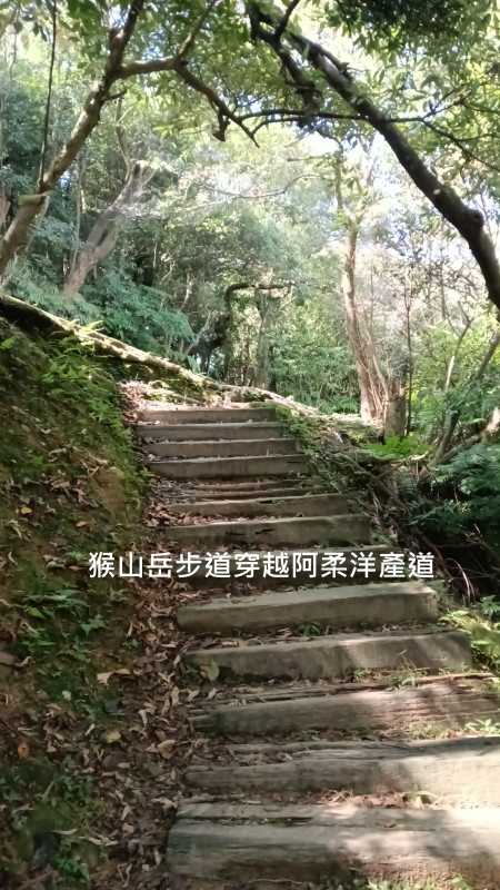 18b7a02ce2e2434d65f97bd8b271439c.png