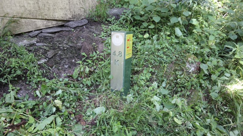 18cd1af929bffb666d6ce54e066290a1.jpg