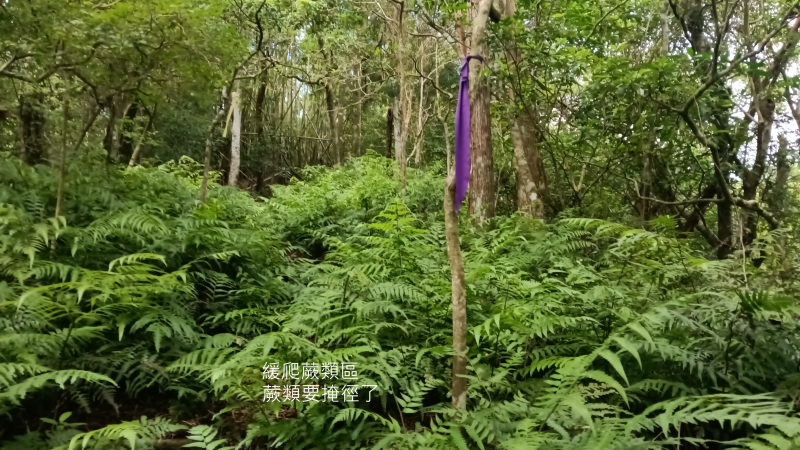 18cfdb656d29fe702704a2e85181eee8.png