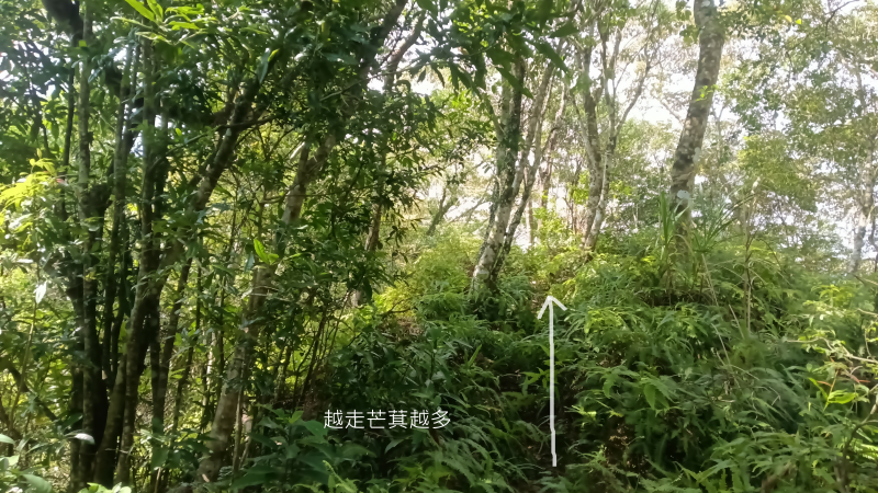 190585b60613751f206df5d6e238724e.png