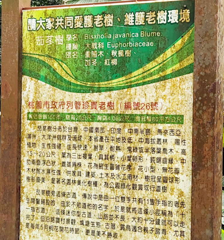 19073e1da77eff7ef9818719a1205781.jpg